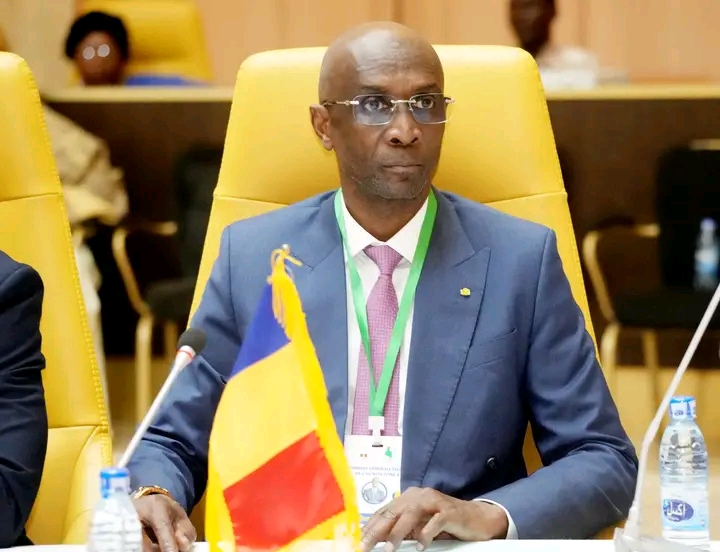 Le Tchadien Dokony Adiker élu président de l’Acnoa-zone 4